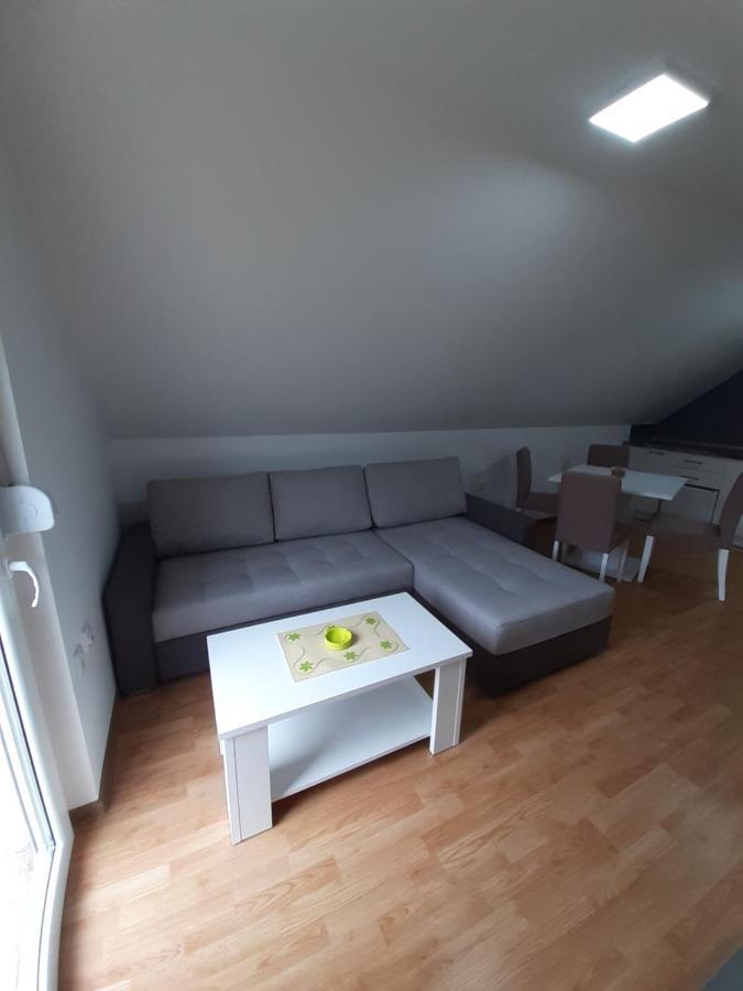 Apartman Djokovic موكرا غورا المظهر الخارجي الصورة